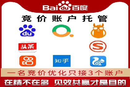 百度竞价排名机制：成功案例与策略探讨